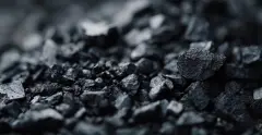Coal