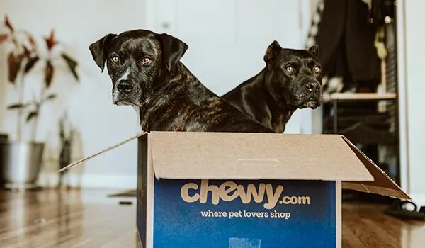 WhatnextforGameStop_-image3_62d4496760e95504df235782c081f19d_800