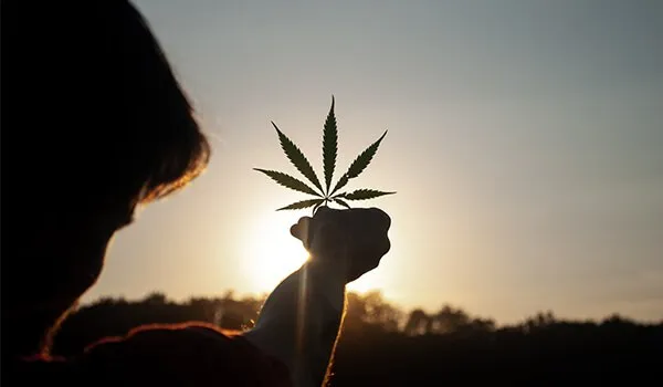 Apersonholdingacannabisleafinthemidstofabreathtakingsunset__f3f2ebc99d05839f903f7998a13978e6_800