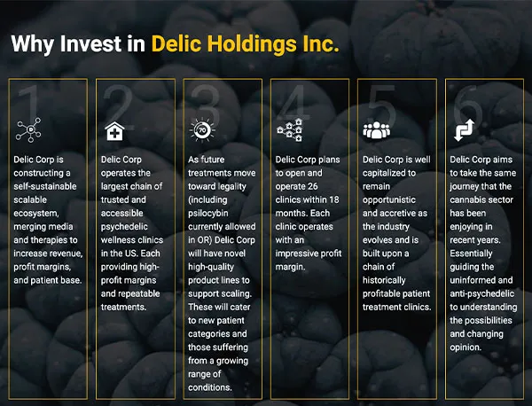 DHI001-LP1-Build-Assets-VTM-Why-Invest-Image