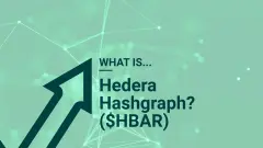 What-is-Hedera-Hashgraph_-($HBAR)