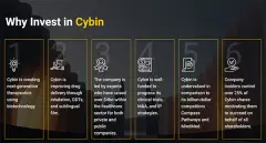 CI001-LP1-Build-Assets-VTM-Why-Invest-Image