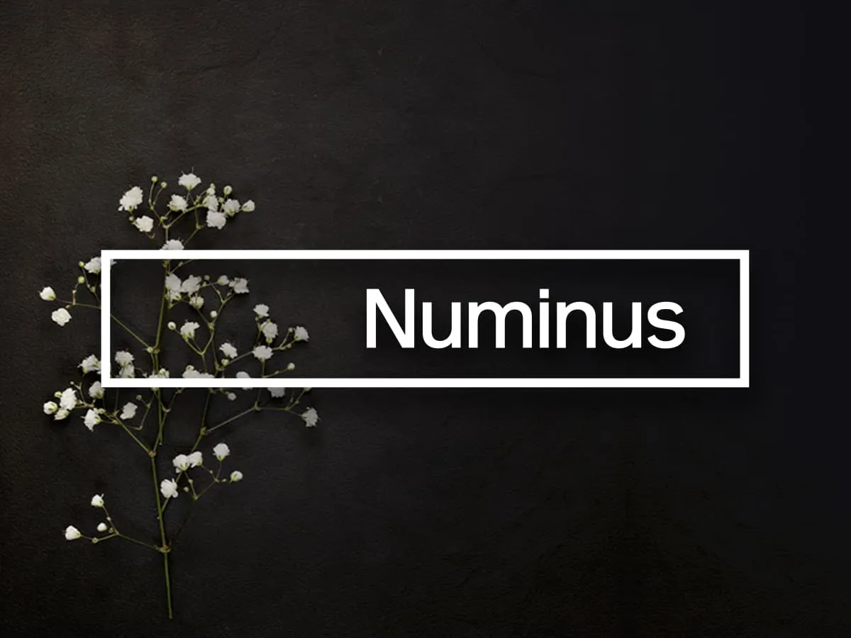 Numinus-14-09-20-Herov2
