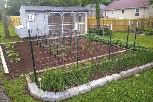 3fd12e6cc79d4bc78da4f256d71033fb_preview_homes-backyard_chickens_17184