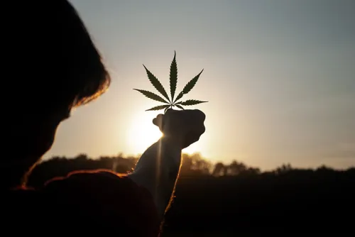 A-person-holding-a-cannabis-leaf-in-the-midst-of-a-breathtaking-sunset.
