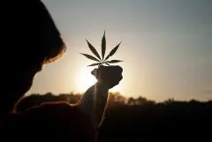 A-person-holding-a-cannabis-leaf-in-the-midst-of-a-breathtaking-sunset.