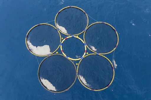 a8503cbb8d0143379be40e0b8888bcbf_preview_ocean--fisheries-capturing_carbon-gigablue_83877