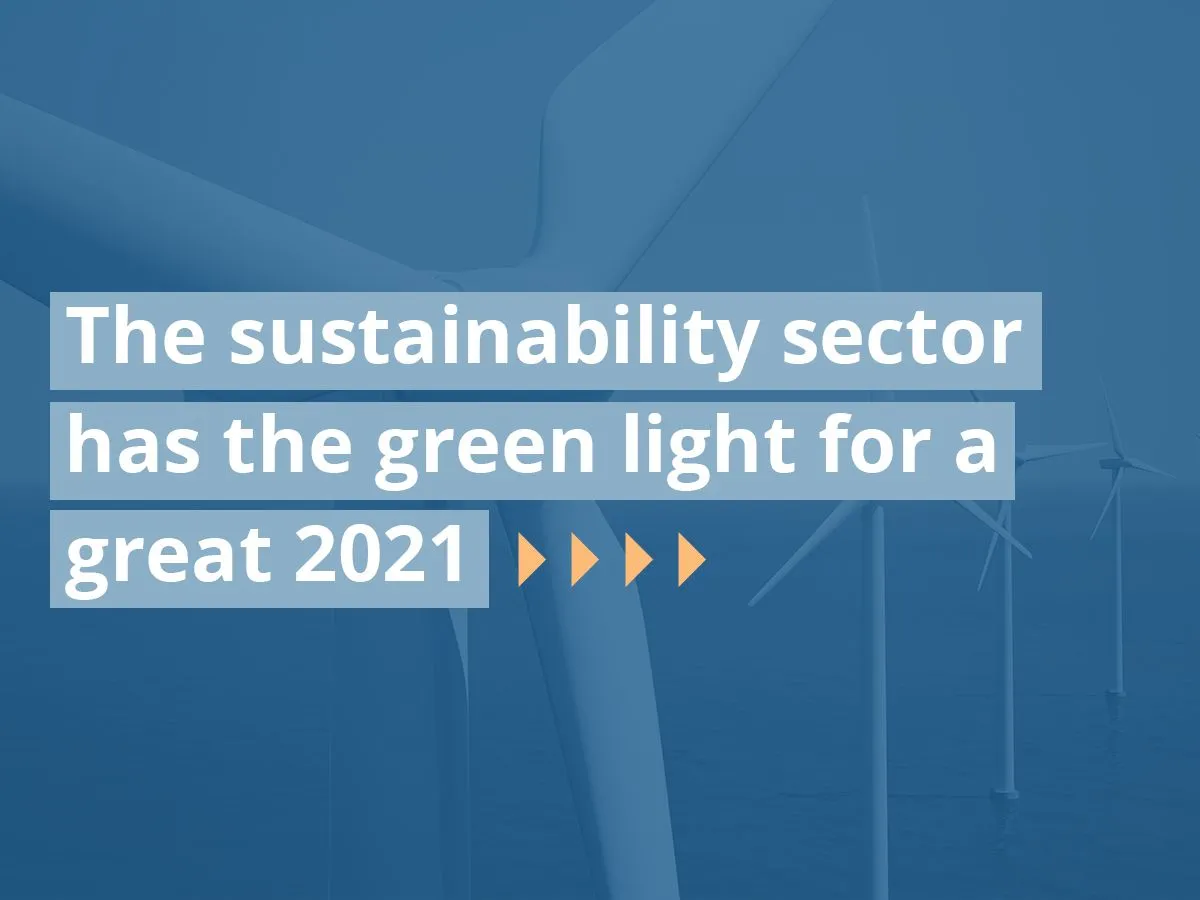 The-Sustainability-Sector-23-12-20-v1