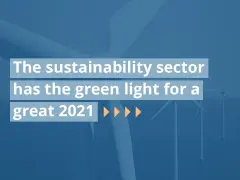 The-Sustainability-Sector-23-12-20-v1