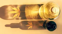 FastForwardInnovationsPerfectlypositionedforCBDboom_hero_524a0cbc6610fbcfefb2a165a7830326_2000