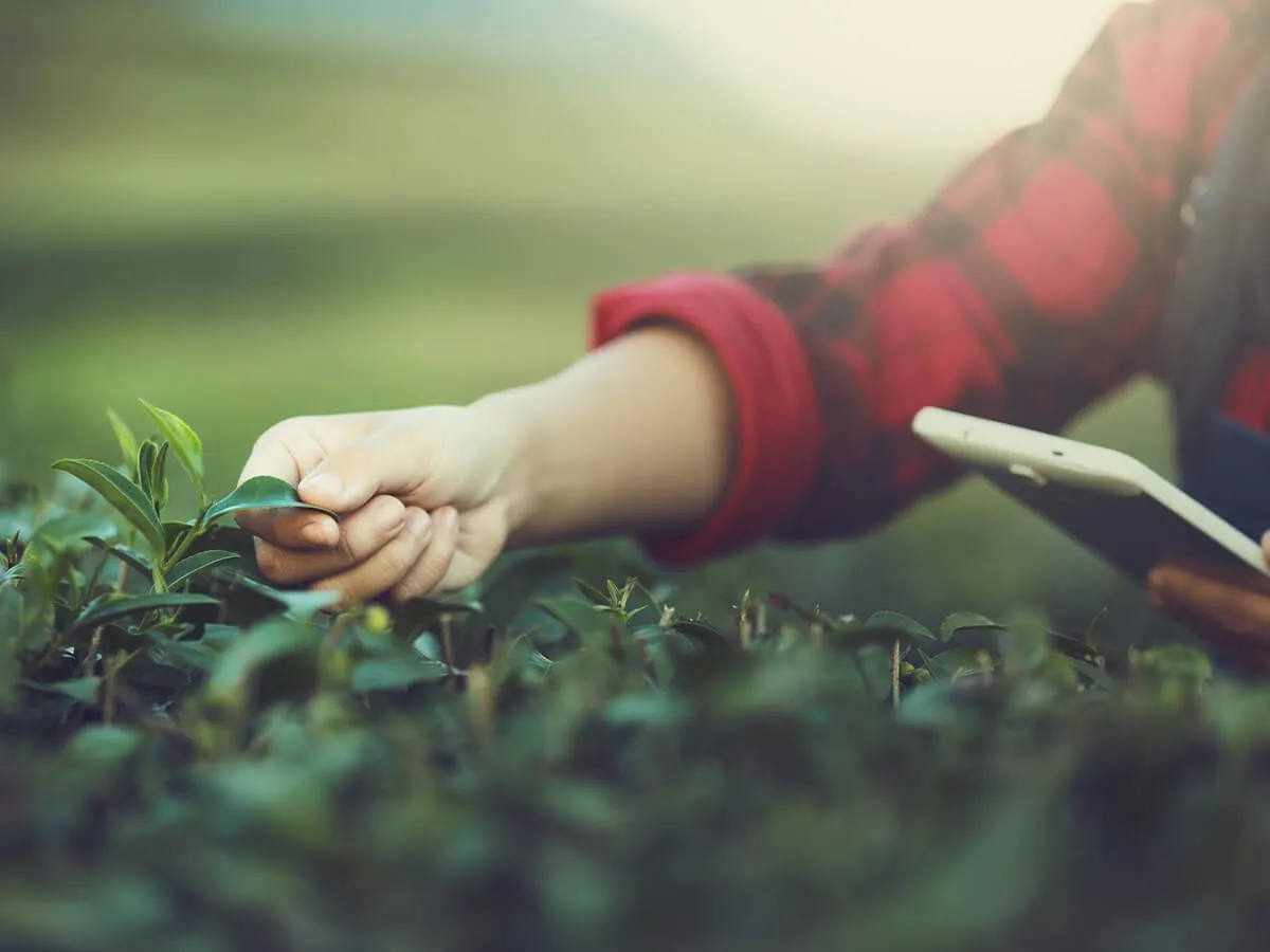 AgTech-03-03-21-Hero_0b722ebee14b739713804acbf7510547_2000