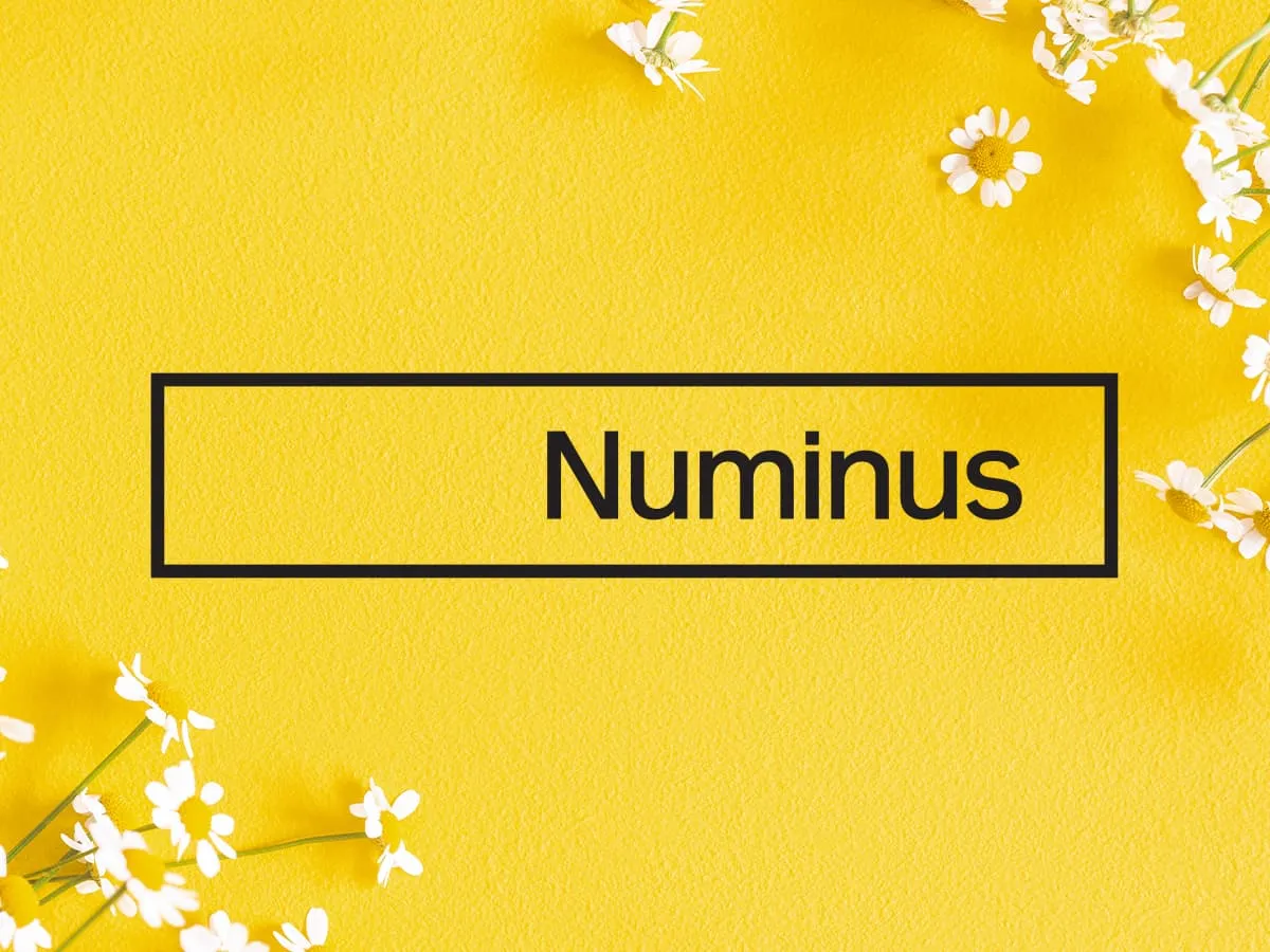 Numinus-14-09-20-Herov1