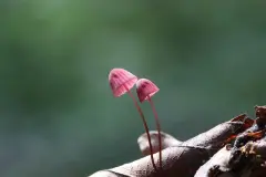 james-jeon-9i5yioaeks0-unsplash