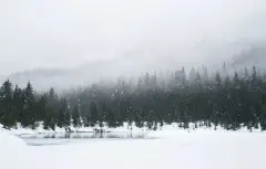 adam-chang-IWenq-4JHqo-unsplash