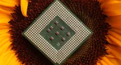 Getechbroadensfocusontheglobalgreenrevolution-Hero_7e7b633f2e3a34a8d6e2564ce32d83b3_2000