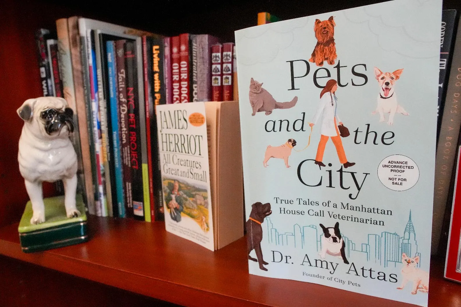 b875fc77a00b4215b4b3eb0f6607eb35_main_vet-pets_and_the_city_70563