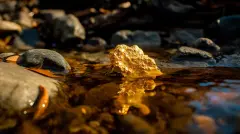 Gold Nugget in Stream