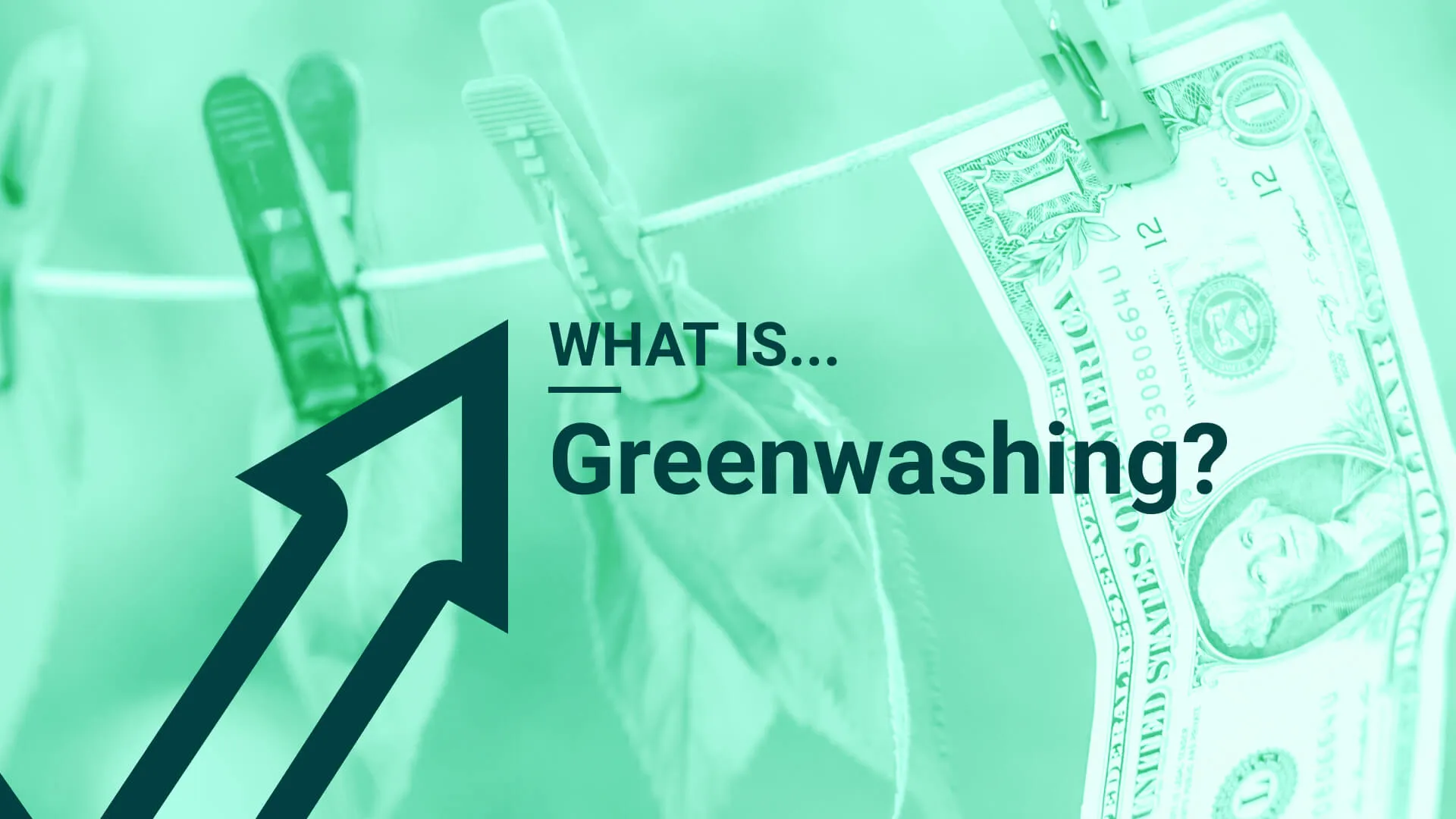 What-is-greenwashing_