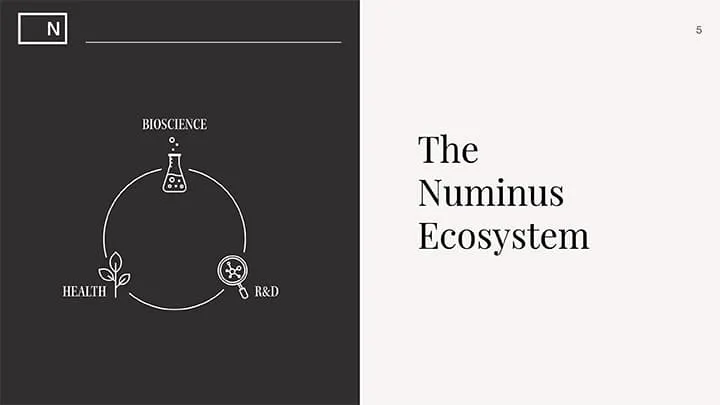 The-Numinus-Ecosystem-image1