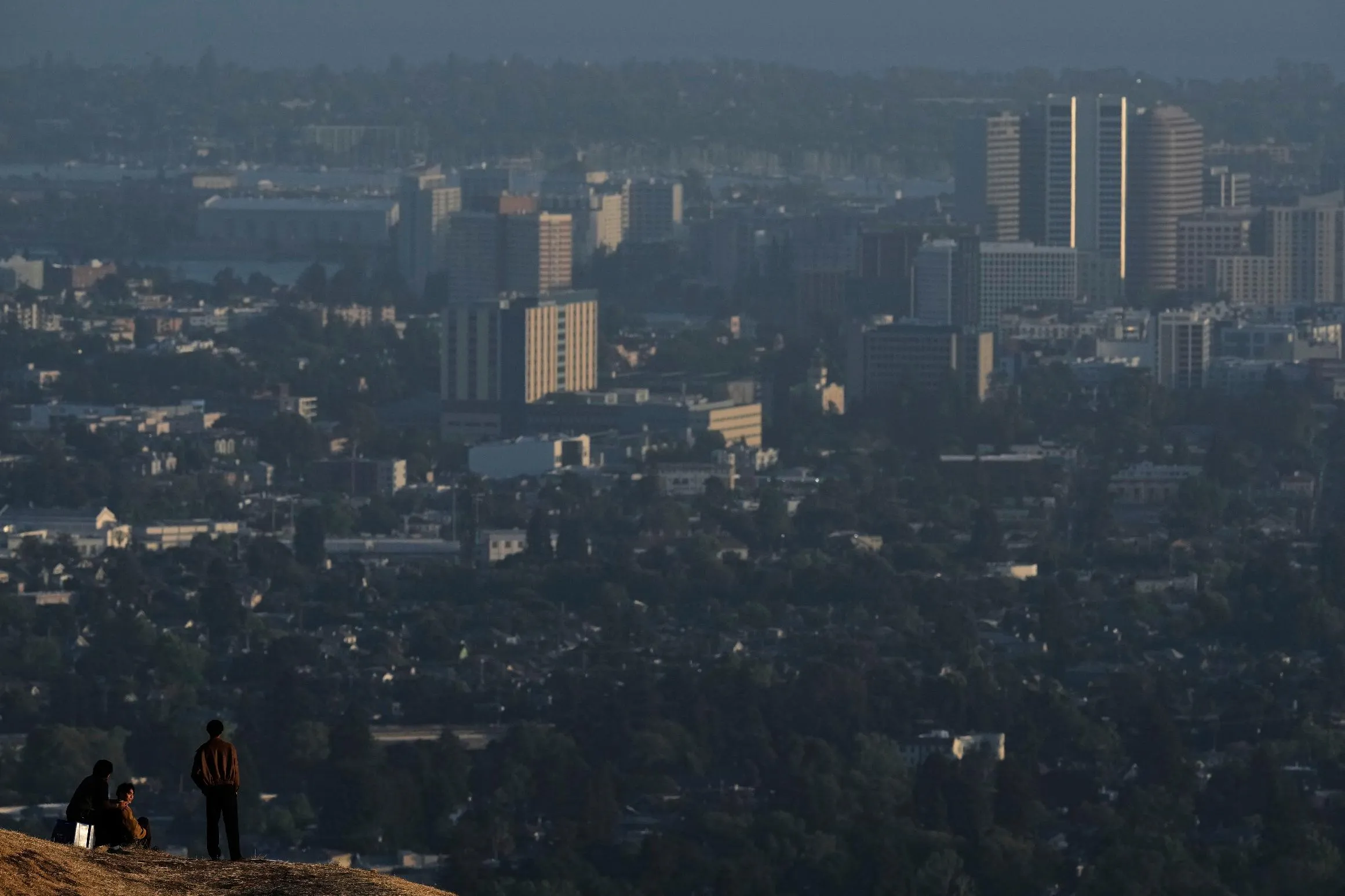 800b1817eba848ad8cbd36416c9f69d8_main_california_daly_life_58280