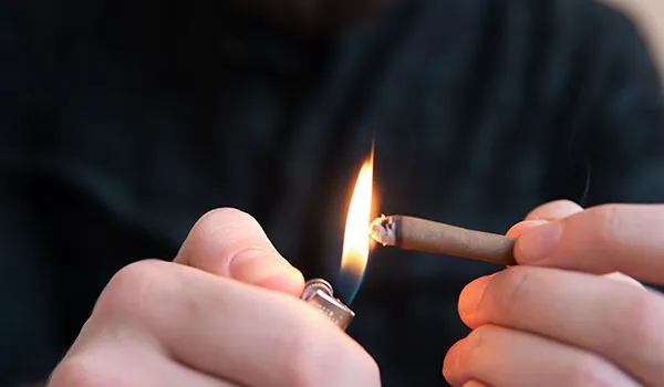 CannabistechcompanyDutchiesecures1_7billionvaluationWillitIPO_-Image2_ddc34bc2af290a7a062dd87fe007b721_800