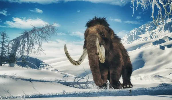 GeneticallycreatedWoollyMammoths-ContentImage_1_f2a0fc9968c8aae823c61b770f72537a_800