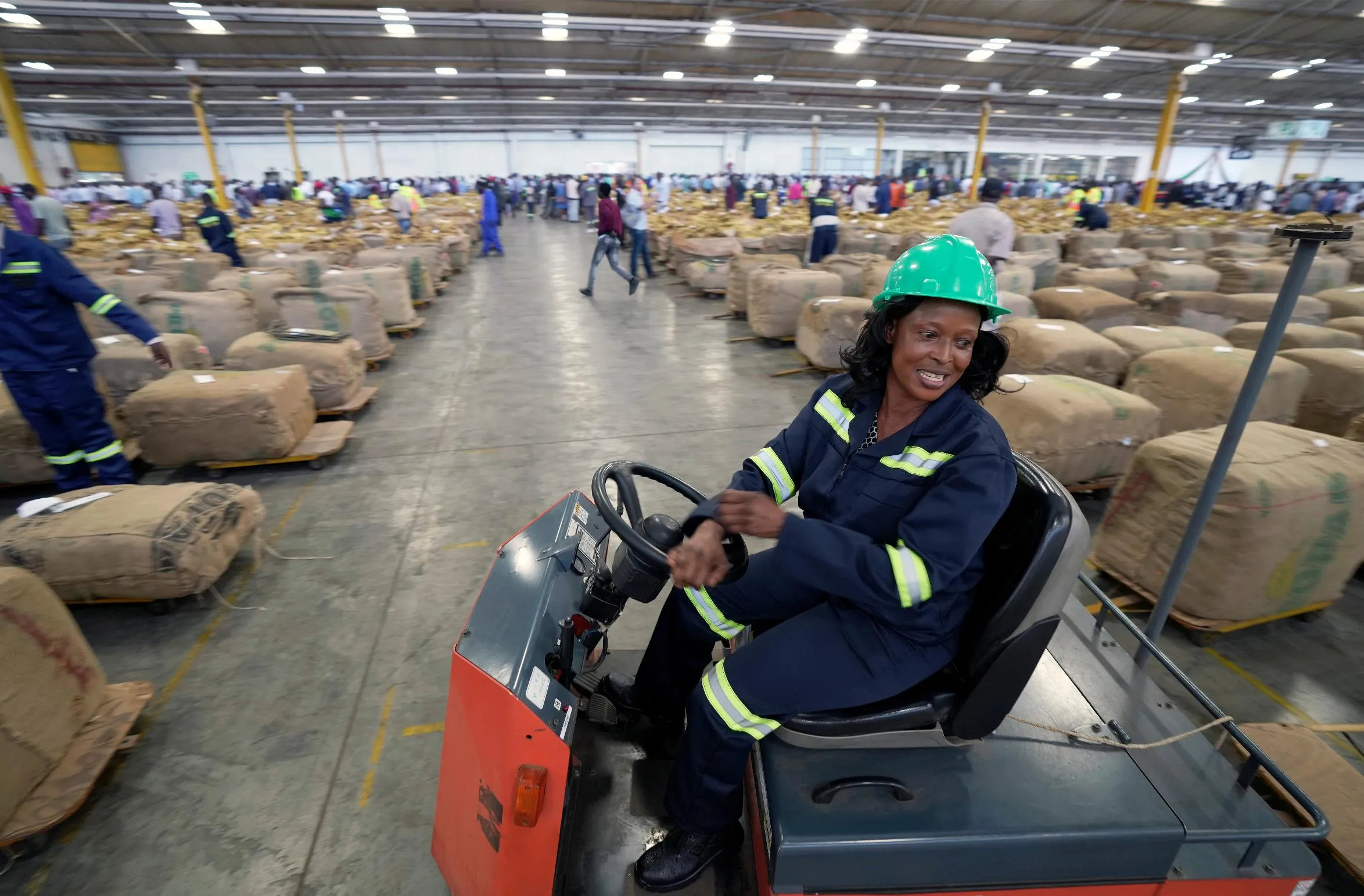 cf2d0592b5f84900aee76ab6ebae3a6a_main_zimbabwe_tobacco_66350