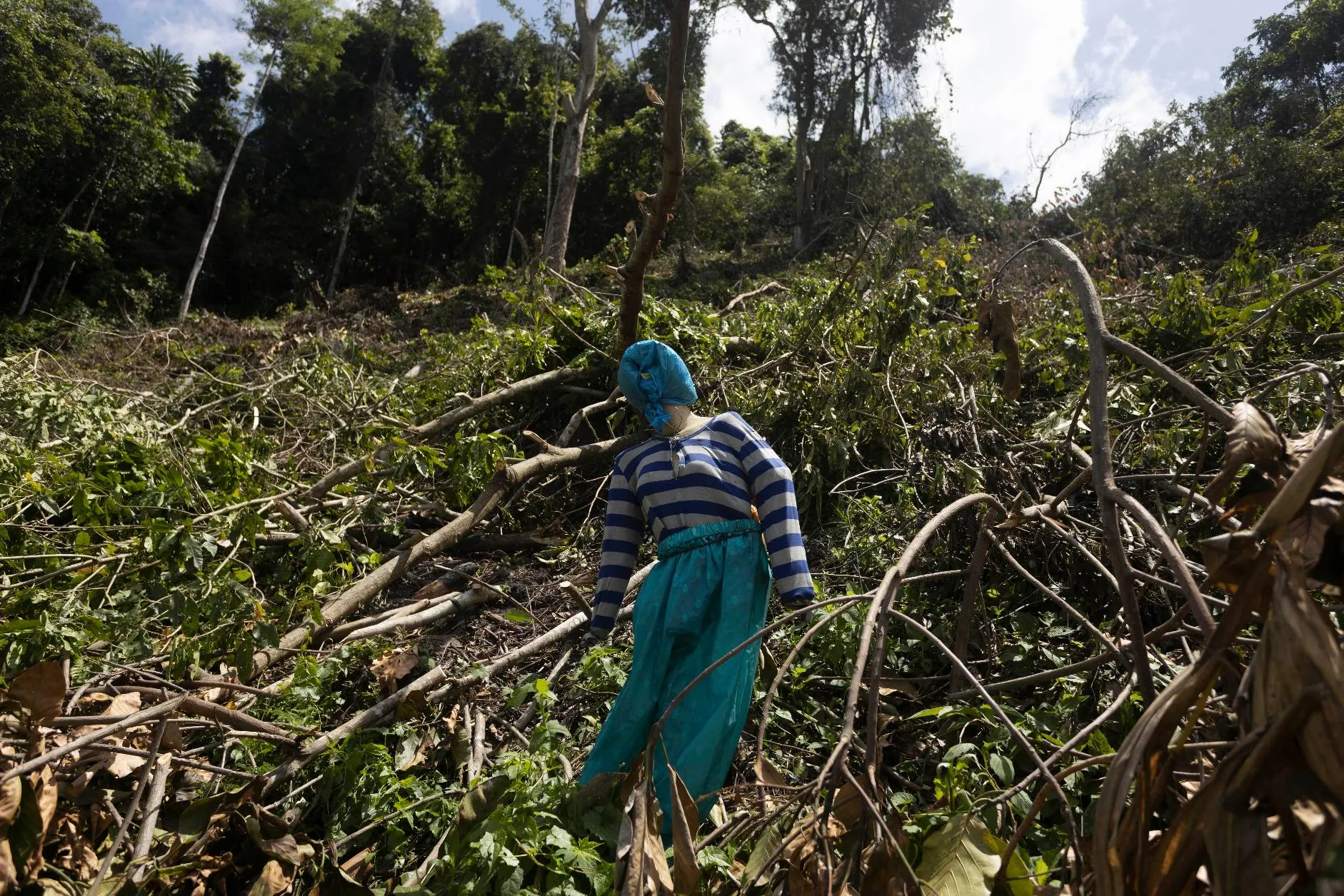 c6d9dc7093c845a7a4219659656cd84f_main_indonesia_deforestation_data_36610
