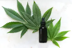 Hemp-or-cannabis-tincture-600x400.