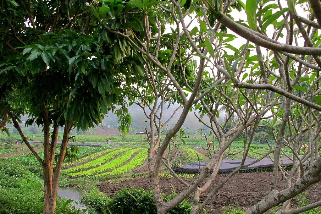 ad2219326ed34e89aece572006da4607_main_laos_asean_finance_67499