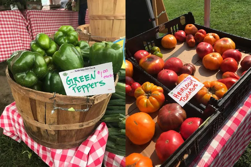 0e11a53ccc4b46a9a3448dfdf234aac2_main_be_well-food-community-supported_agriculture_89321