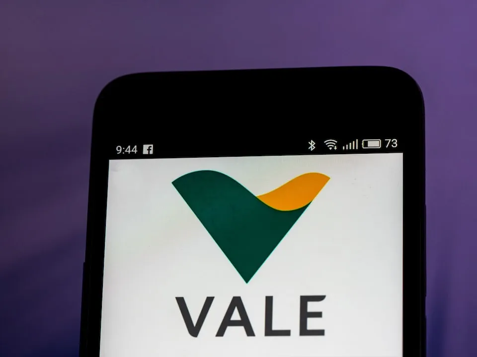 vale-stock-min
