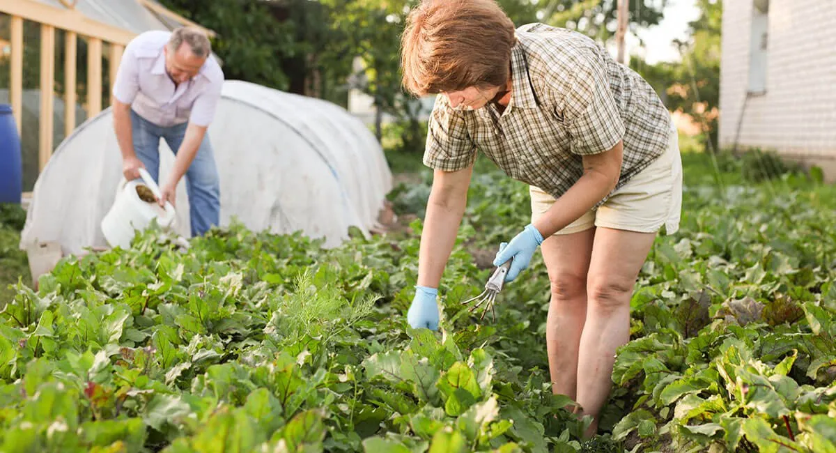 WhatyouneedtoknowaboutNextdoors2021IPO-Hero_b5461513a0d43ed59abf83fbaebcf1cf_2000