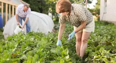 WhatyouneedtoknowaboutNextdoors2021IPO-Hero_b5461513a0d43ed59abf83fbaebcf1cf_2000