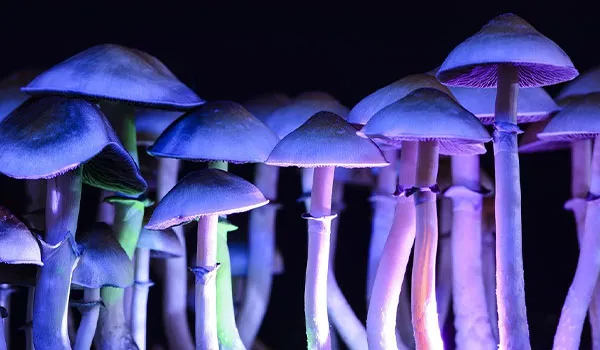 DHI001-LP1-Build-Assets-Content-Image-1