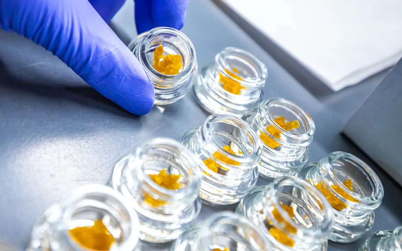 JL002-Report-LP-Build-Assets-Content-Image-1