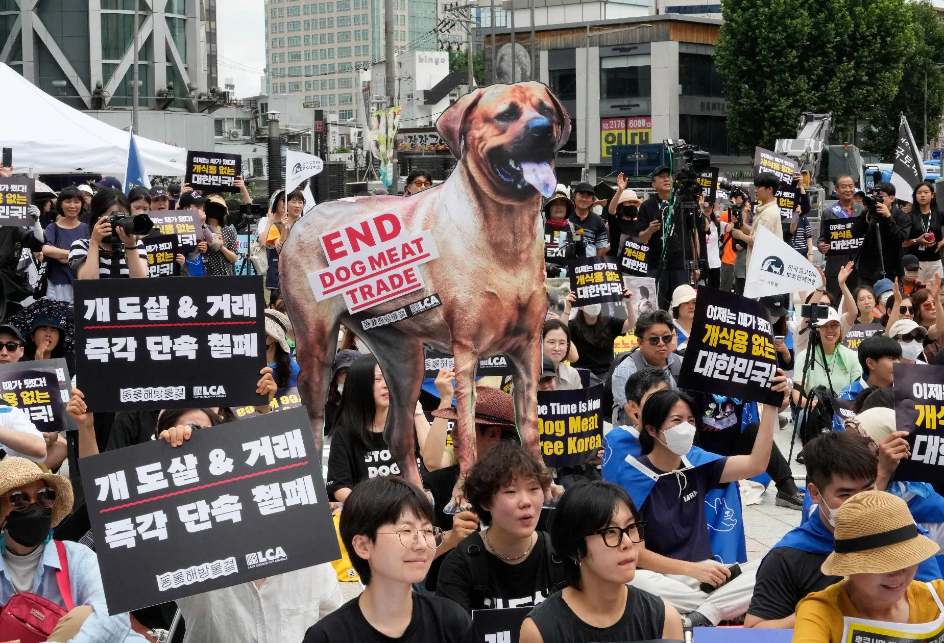 8a3123e3ade34b0d882bb9bcfae537ca_main_south_korea_dog_meat_71940