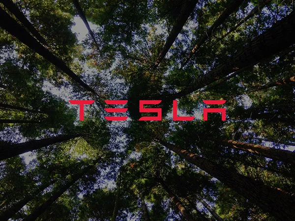 Teslas-Bitcoin-Hero-v2-FI