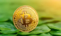 Gold bitcoin on green leaf. concept of digital currency. Cryptocurrency mining and renewable energy concept