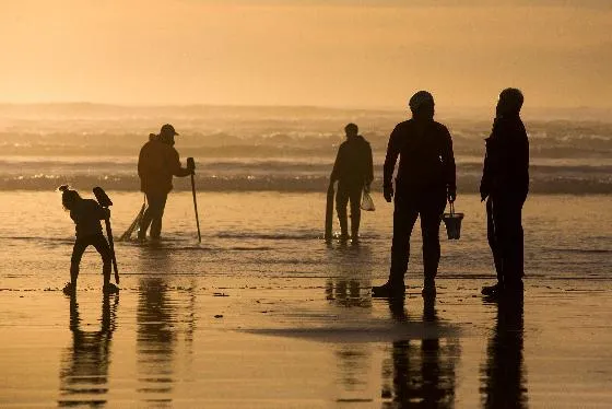 5e5a38eaf8e9414c949db1a680427d28_main_oregon-shellfish_poisoning_08391