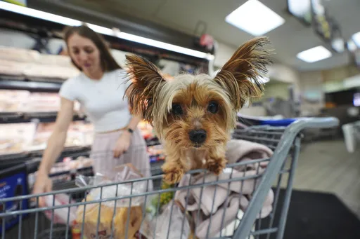 83e01ca25dae451296f8b3c8e95a2244_preview_us_economy_15153