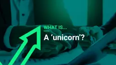 What-is-A-unicorn_