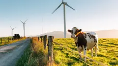 WhatCOP26mightmeanforretailinvestors_e95479faf25ddf520aac8773b83ad025_1600