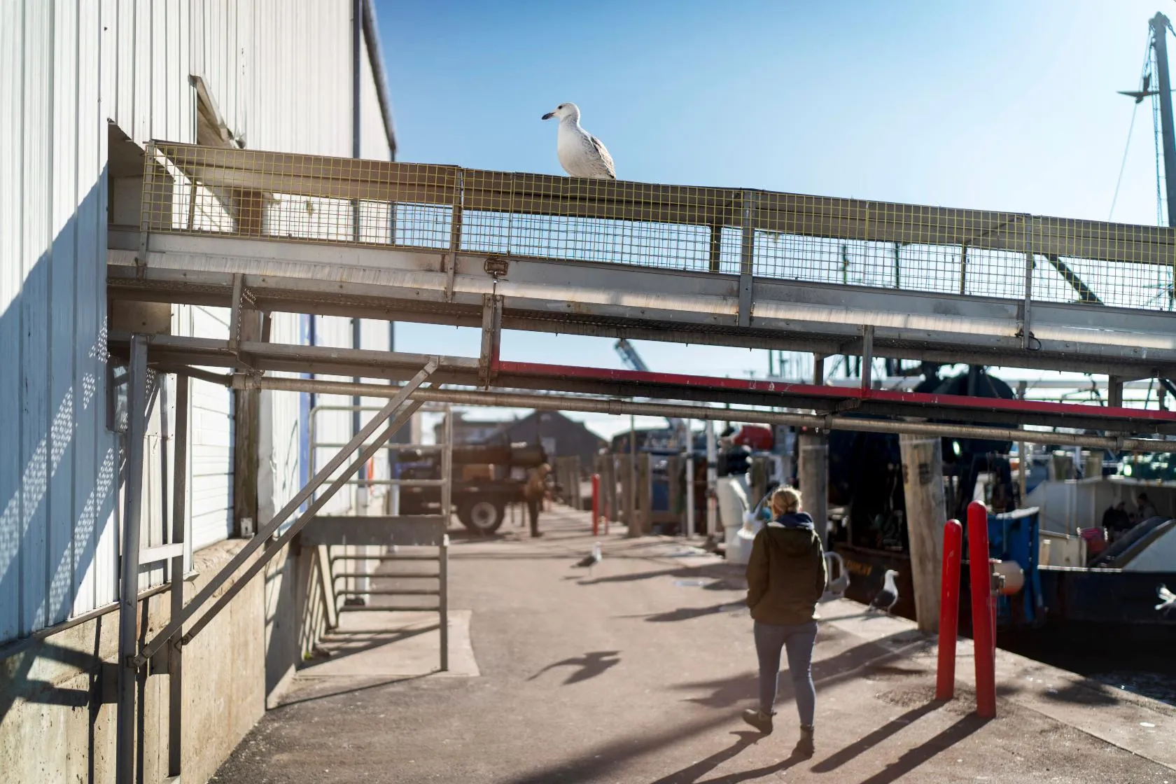 23cd8f126dc145d981283faaa71089e5_main_ocean_fisheries_capturing_carbon_75324