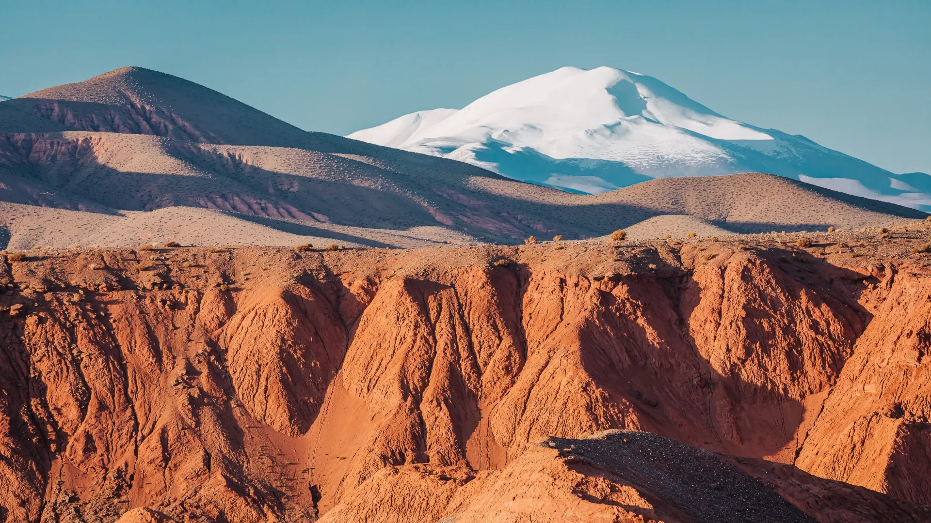 SWAM001-Report-LP-Featured-Image-2