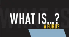 WhatisaFURU_Hero_e25ff394611132542710a77b66ee7254_2000