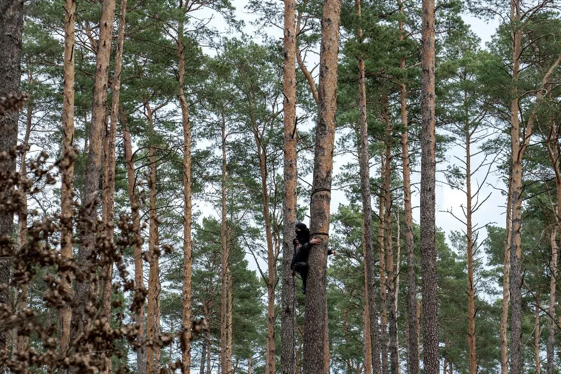 6bcc5fb9ac6b429891b21cea724218b8_main_germany_tesla_51080