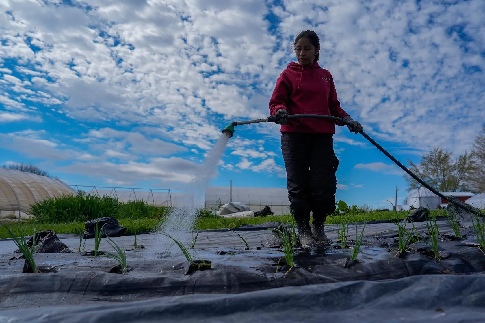 c618f7fec4f2437492732c33041a78d2_main_producer_prices_70089