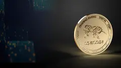 unicoin-presentation-background