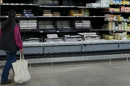 6c157e6ead69489e89c5b4908a4e6221_main_producer_prices_44685